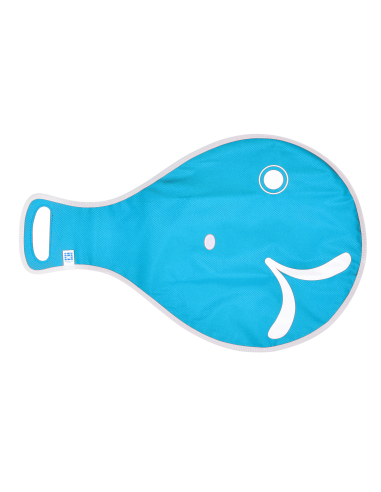 Schlittelfisch Sled – turquoise