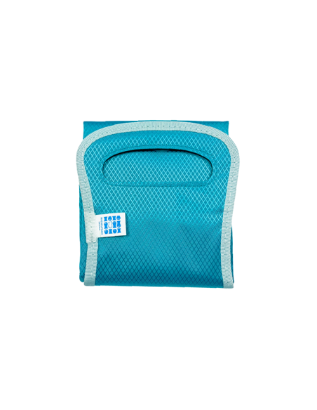 Schlittelfisch – türkis