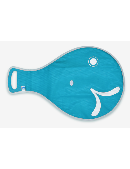 Schlittelfisch – türkis