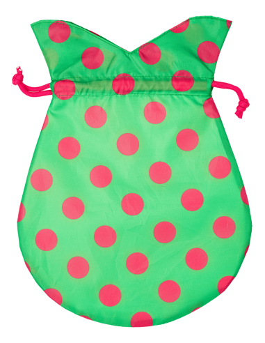 Bikini Bag – Watermelon